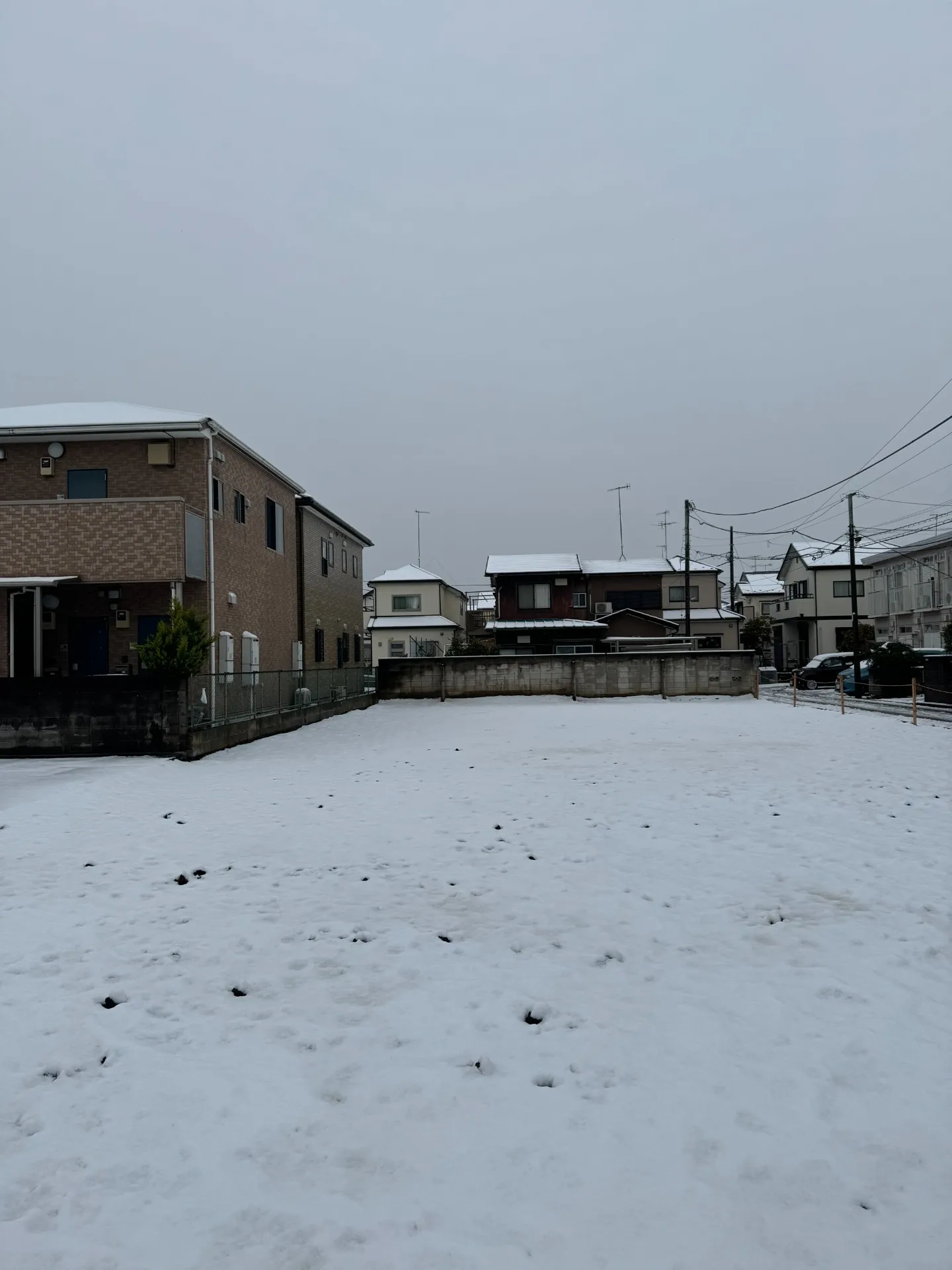 2024年初雪・積雪